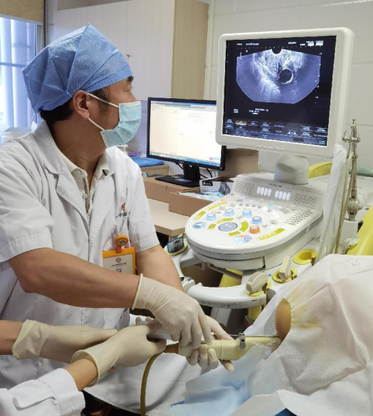 Needle Biopsy Process Needle Biopsy Process